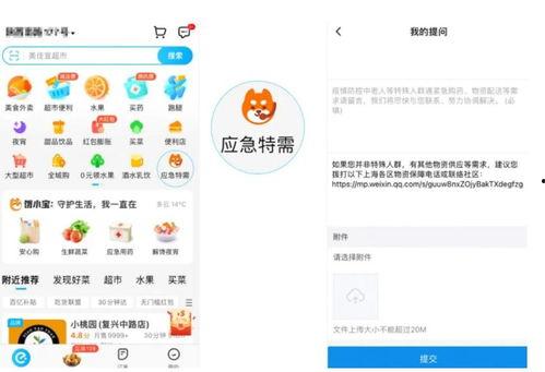 今日头条孕妇爆料,揭秘孕期那些不为人知的辛酸与感动